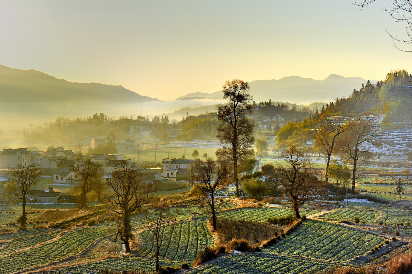 刘云：乡村诗意（三首）